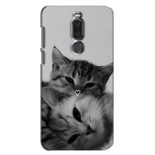 Чехол с рисунком кот на Meizu X8 – Пара котов