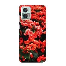 Чехлы с Цветами для Motorola Edge 30 Neo (VPrint) (Цветы красные)
