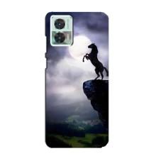 Чехлы с изображением разных животных для Motorola Edge 30 Neo (Лошадь)