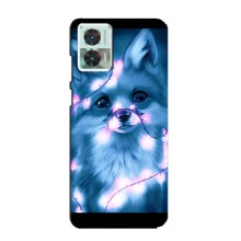 Чехлы с картинкой Лисички для Motorola Edge 30 Neo (VPrint) (Яркая лисичка)