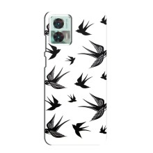 Чехол с птицами на Motorola Edge 30 Neo (VPrint) (Ласточки)