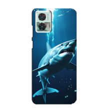 Чехол с картинкой «Хищники» для Motorola Edge 30 Neo (Акула)