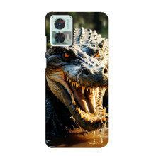 Чехол с картинкой «Хищники» для Motorola Edge 30 Neo (Крокодил)