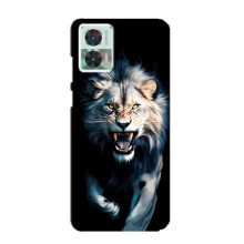 Чехол с картинкой «Хищники» для Motorola Edge 30 Neo (Лев)