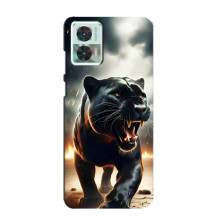 Чехол с картинкой «Хищники» для Motorola Edge 30 Neo (Пантера)