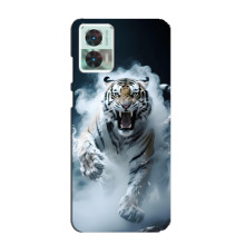 Чехол с картинкой «Хищники» для Motorola Edge 30 Neo (Тигр)