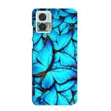 Силиконовый бампер с картинкой животных для Motorola Edge 30 Neo (Крылья бабочек)