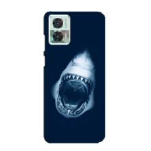 Силиконовый бампер с картинкой животных для Motorola Edge 30 Neo (Пасть Акулы)