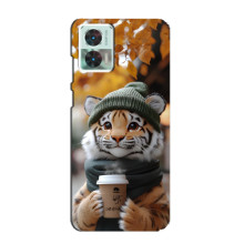 Печатный чехол «Зверята с кофе» для Motorola Edge 30 Neo – Тигр с кофе