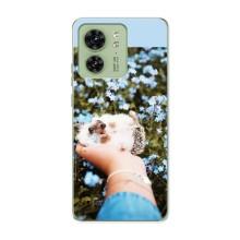 Чехлы с изображением разных животных для Motorola Edge 40 (Ежик на руках)