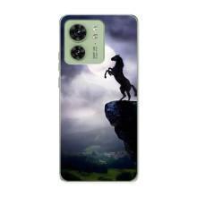Чехлы с изображением разных животных для Motorola Edge 40 (Лошадь)