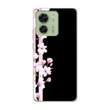 Чехол для Мото Ейдж 40 - с принтом (Дизайнерские) (AlphaPrint) (Цветочки)