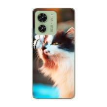 Чохол на Моторола Едге 40 з Котиками (VPrint) (Котик з метеликом)