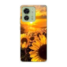 Чехол с Цветами для Motorola Edge 40 (поле подсолнухов)