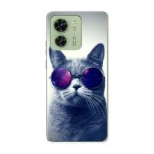 Чохол з принтом для Motorola Edge 40 (AlphaPrint) Модні коти (Стильний кіт)