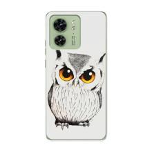 Чехол с птицами на Motorola Edge 40 (VPrint)