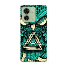 Чехол с птицами на Motorola Edge 40 (VPrint)