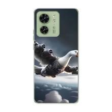 Чохол з мемом Тралалело тралала на Motorola Edge 40 – Бомбардіні гусіні