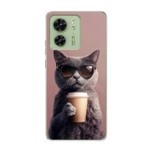 Чехол с принтом стильные животные для Мото Ейдж 40 – Кот с кофе