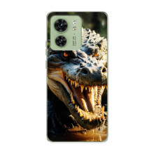 Чехол с картинкой «Хищники» для Motorola Edge 40 – Крокодил
