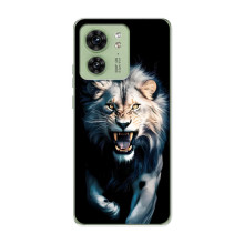 Чехол с картинкой «Хищники» для Motorola Edge 40 – Лев