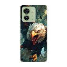 Чехол с картинкой «Хищники» для Motorola Edge 40 – Орёл