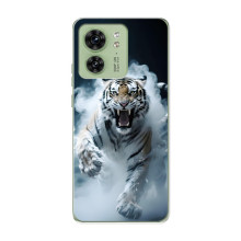 Чехол с картинкой «Хищники» для Motorola Edge 40 – Тигр