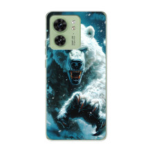 Чехол с картинкой «Хищники» для Motorola Edge 40 – Медведь