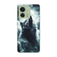 Чехол с картинкой «Хищники» для Motorola Edge 40