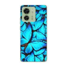 Силиконовый бампер с картинкой животных для Motorola Edge 40 (Крылья бабочек)