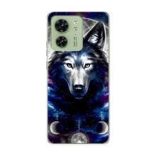 Защитные чехлы для Мото Ейдж 40 (AlphaPrint) (ХИТ продаж) ВОЛК
