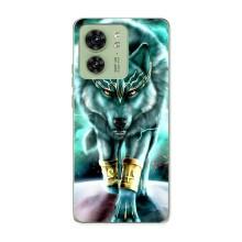 Защитные чехлы для Мото Ейдж 40 (AlphaPrint) (ХИТ продаж) ВОЛК