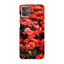 Чехлы с Цветами для Motorola MOTO G32 (VPrint) (Цветы красные)