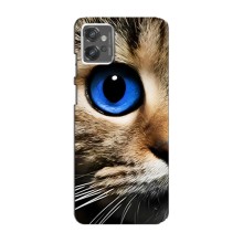 Чехлы с Котиками для Motorola MOTO G32 (VPrint) (Глаз кота)