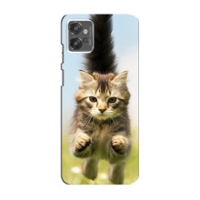 Чехлы с Котиками для Motorola MOTO G32 (VPrint) (Прыжок кота)