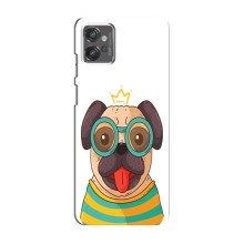 Бампер для Motorola MOTO G32 с картинкой "Песики" (Собака Король)