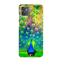 Чохол з пташками на Motorola MOTO G32 (VPrint) (Яскравий Павлин)