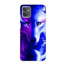 Чохол з Вовком на Motorola MOTO G32 – Арт-Вовк