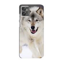 Чохол з Вовком на Motorola MOTO G32 – Вовк біжить по снігу