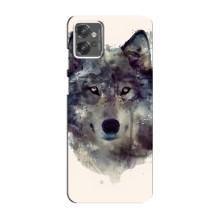 Чохол з Вовком на Motorola MOTO G32 – Вовк