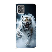 Чохол з картинкою 'Хижаки' для Motorola MOTO G32 – Тигр
