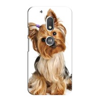 Чехол (ТПУ) Милые собачки для Motorola Moto G4 Plus – Собака Терьер