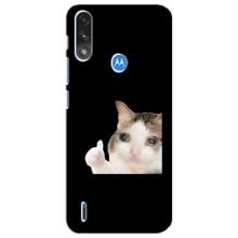 Бампер з принтом Меми для Motorola E7 Power – Кіт у сльозах