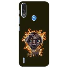 Чохли на військову тематику для Motorola E7 Power – Бавовна мем