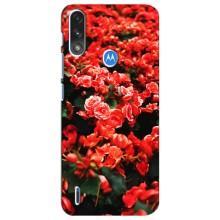Чохли з квітами для Motorola E7 Power (VPrint) (Квіти червоні)