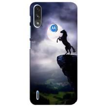 Чехлы с изображением разных животных для Motorola E7 Power (Лошадь)