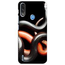 Чехлы с изображением разных животных для Motorola E7 Power (Змея)