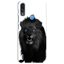 Чехлы с картинками животных Motorola E7 Power