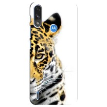 Чехлы с картинками животных Motorola E7 Power (Леопард)