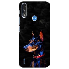 Чехлы с картинками животных Motorola E7 Power (Собака)